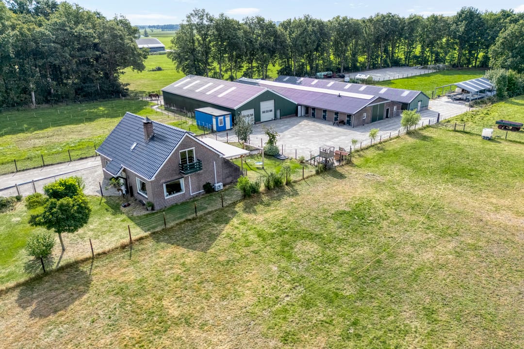 Foto 1 van Vuile Riete 4