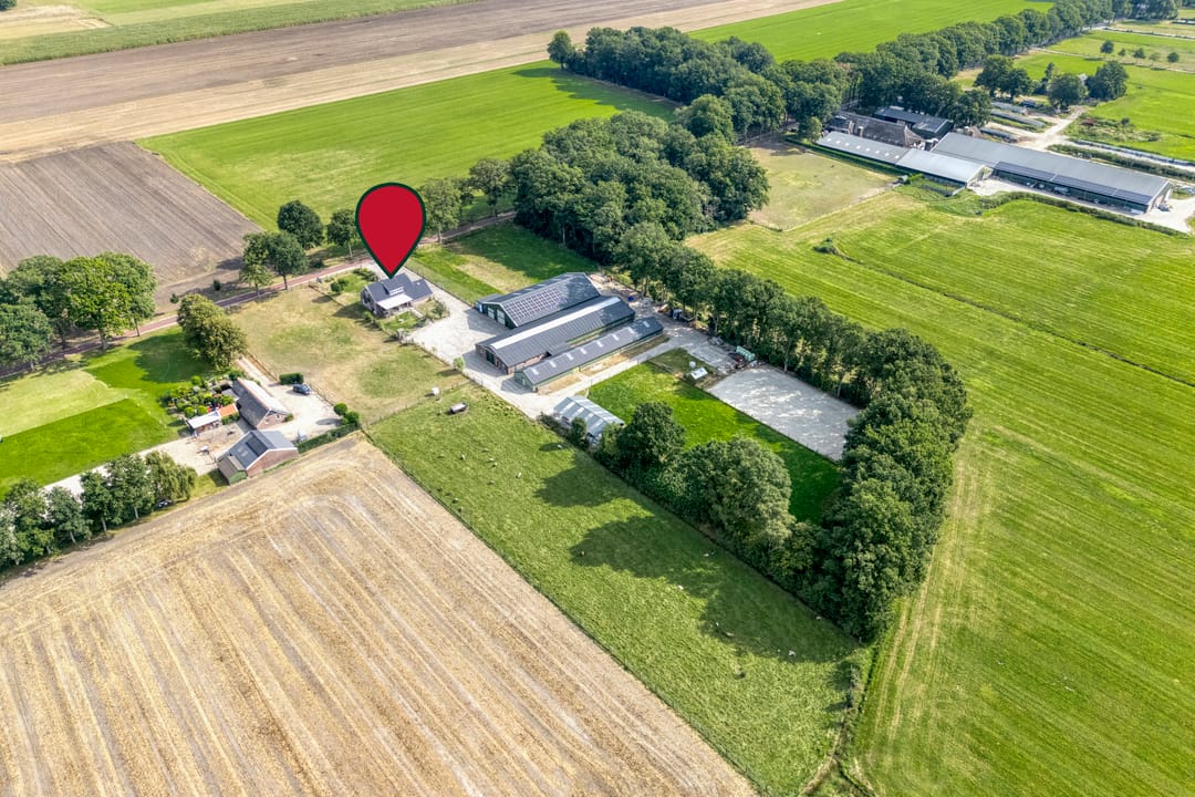 Foto 2 van Vuile Riete 4