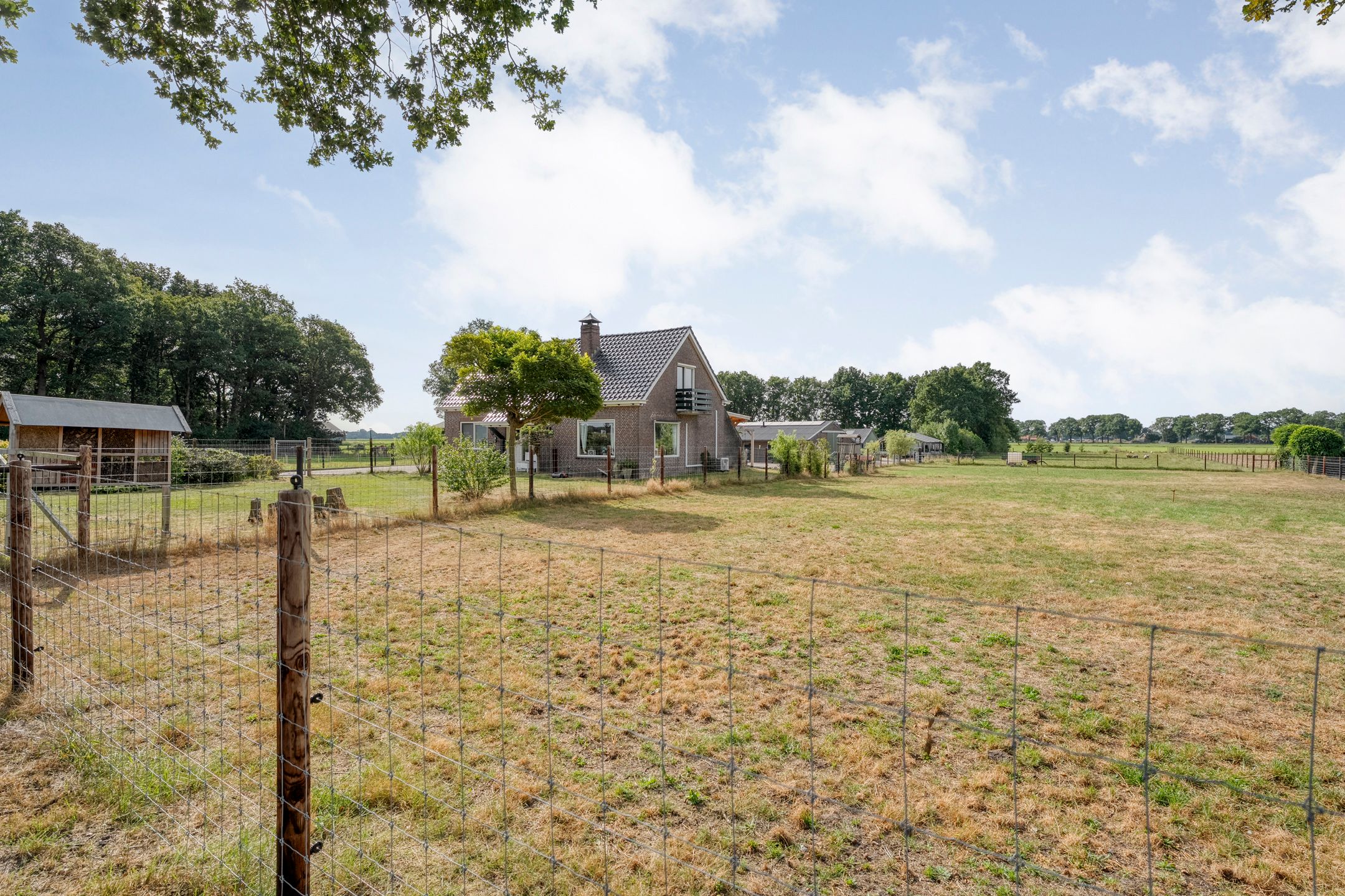 Foto 3 van Vuile Riete 4