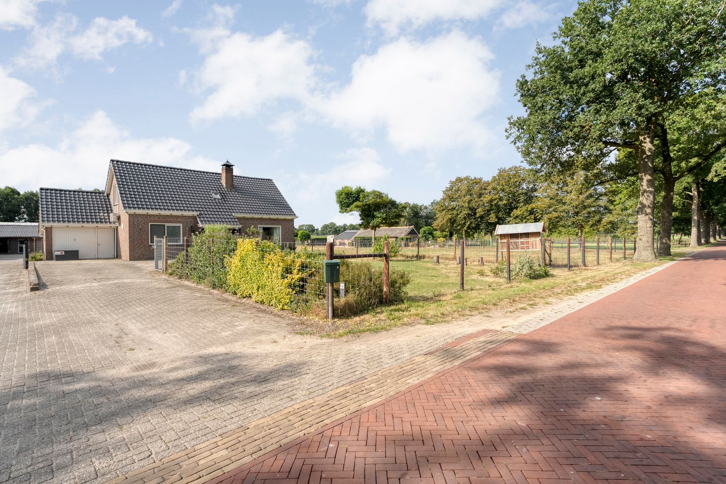 Foto 4 van Vuile Riete 4