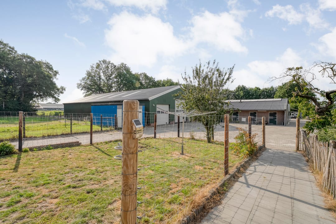 Foto 38 van Vuile Riete 4