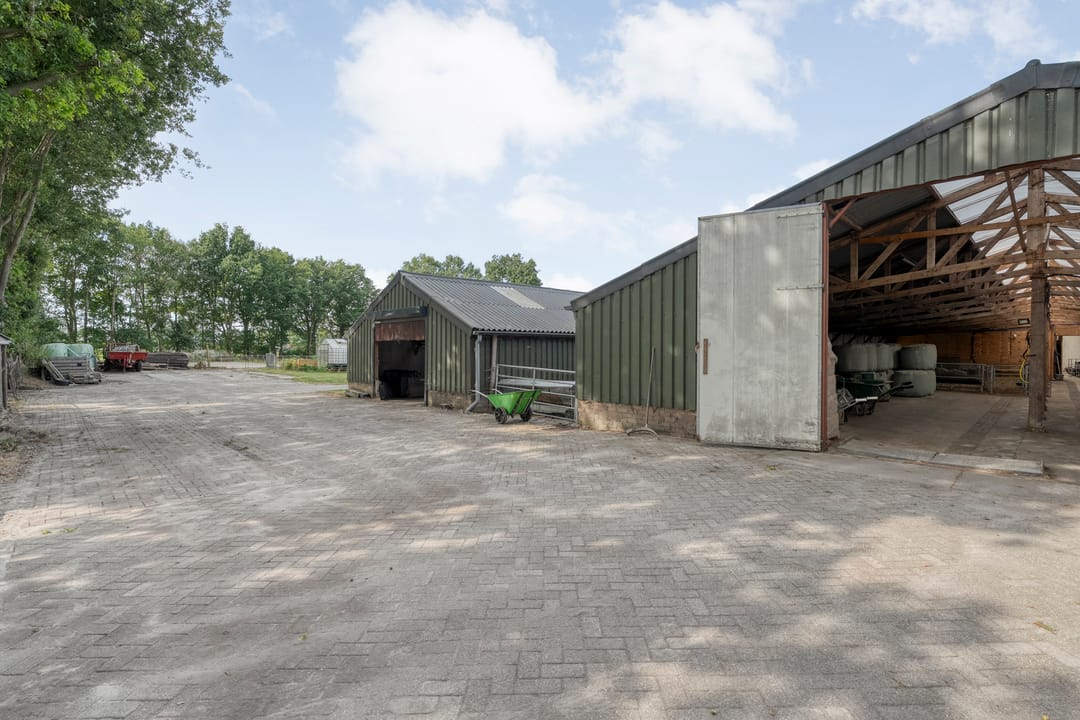 Foto 43 van Vuile Riete 4