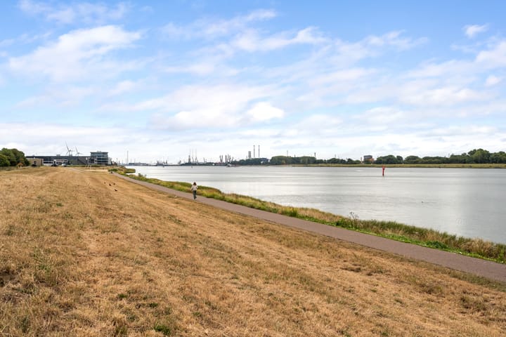 Photo 41 of Zalmstael 19