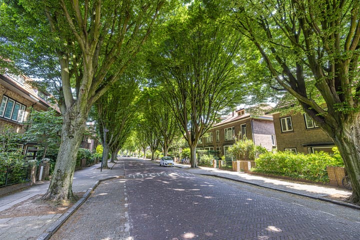 Foto 51 van Cobetstraat 48