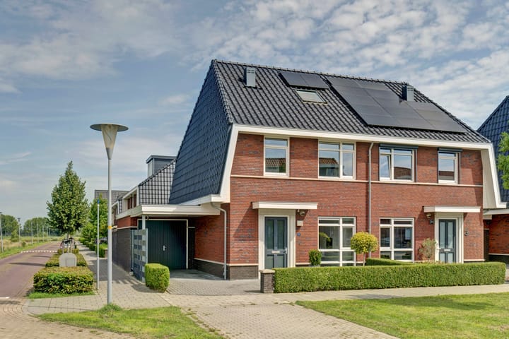 Foto 2 van Stier 1