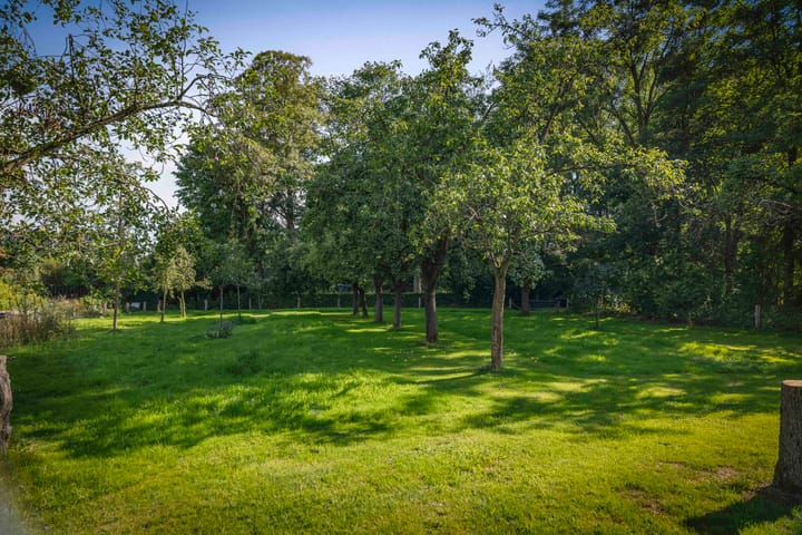 Foto 53 van het Wiemelink 7