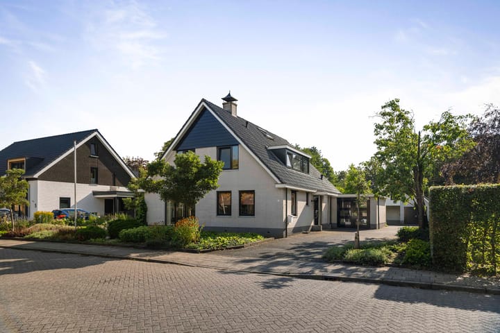 Foto 59 van het Wiemelink 7