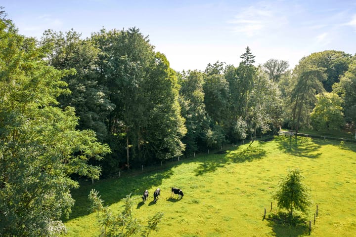 Foto 51 van het Wiemelink 7