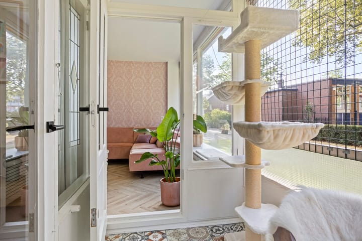 Foto 12 van Oldegaarde 676