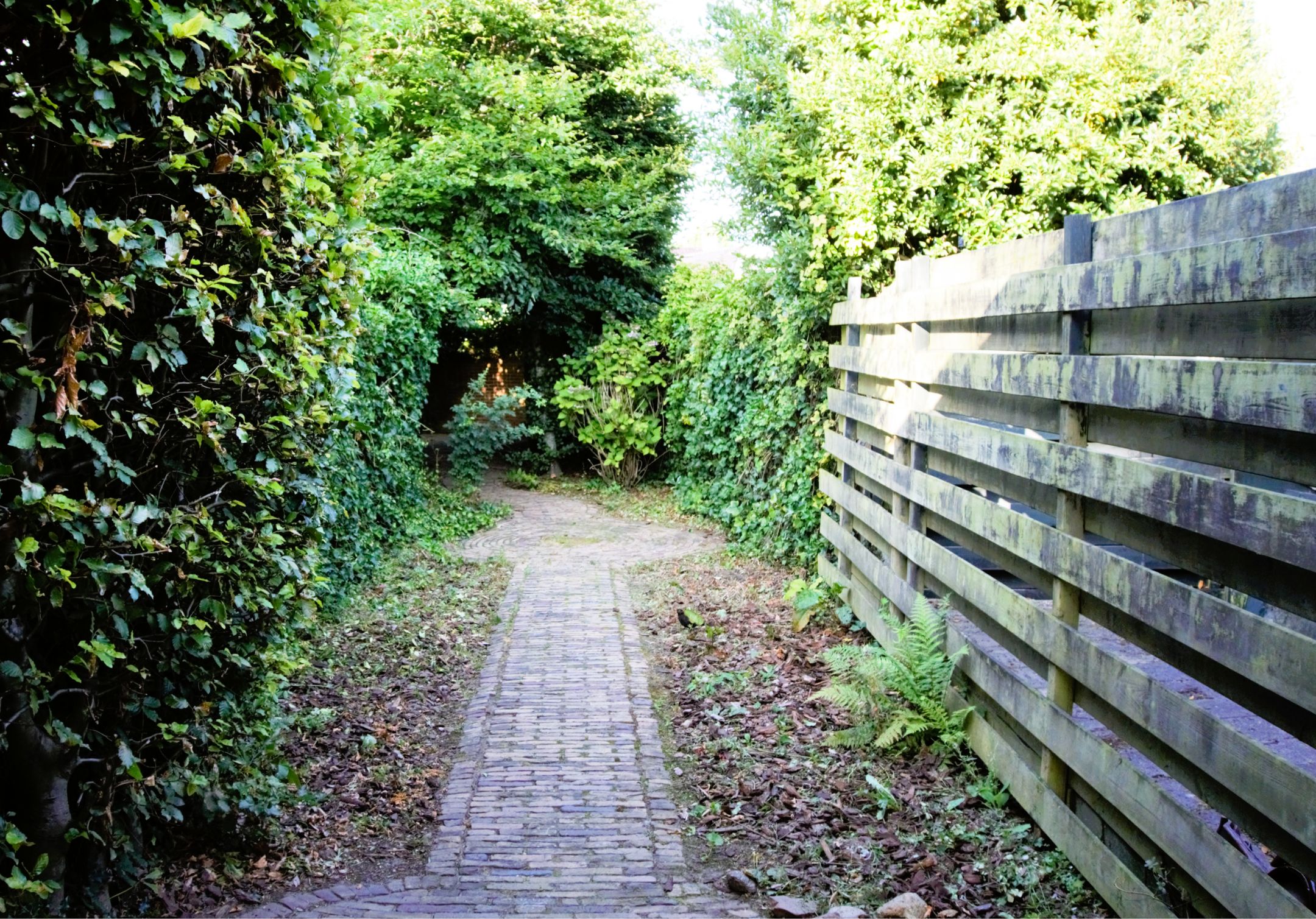 Foto 45 van Prins Bernhardstraat 2