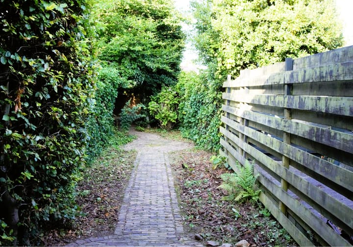 Foto 45 van Prins Bernhardstraat 2