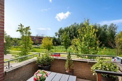 Wiardaplantage 72 tertiary image