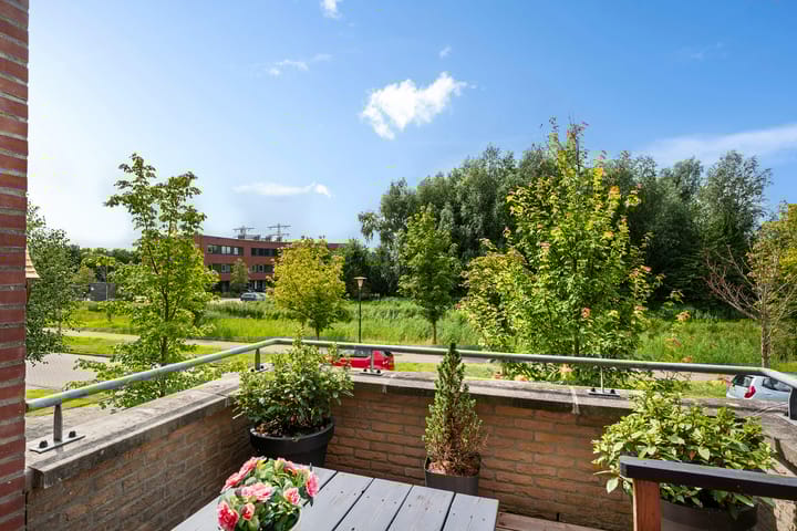 Foto 20 van Wiardaplantage 72