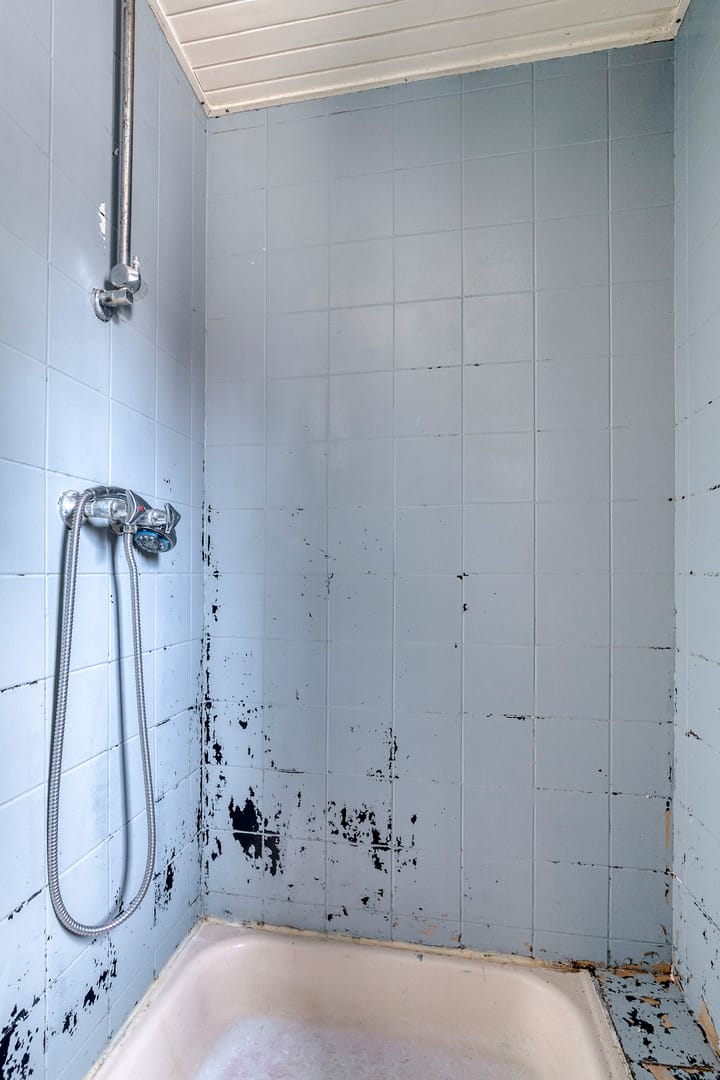 Foto 27 van Hieronymusstraat 20