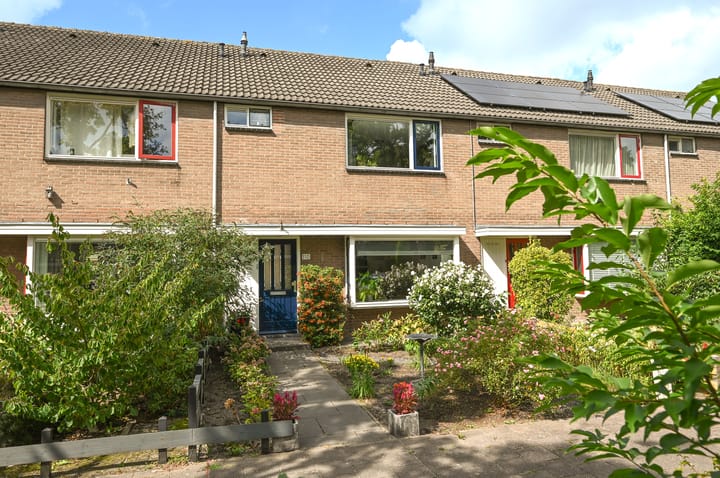 Foto 1 van Loefzij 110