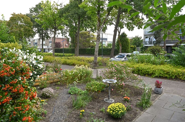 Foto 16 van Loefzij 110