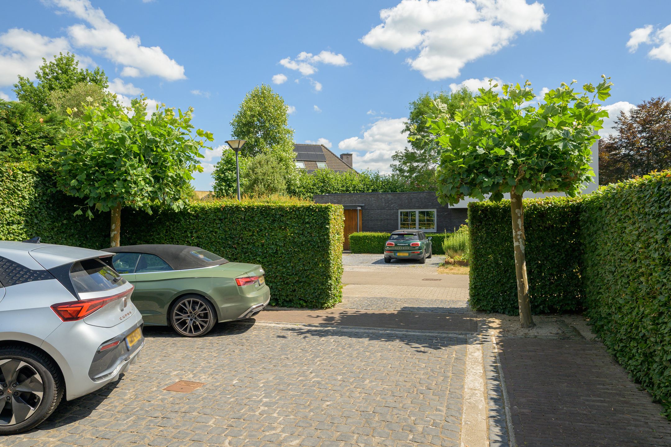 Foto 6 van Dassenlaar 14