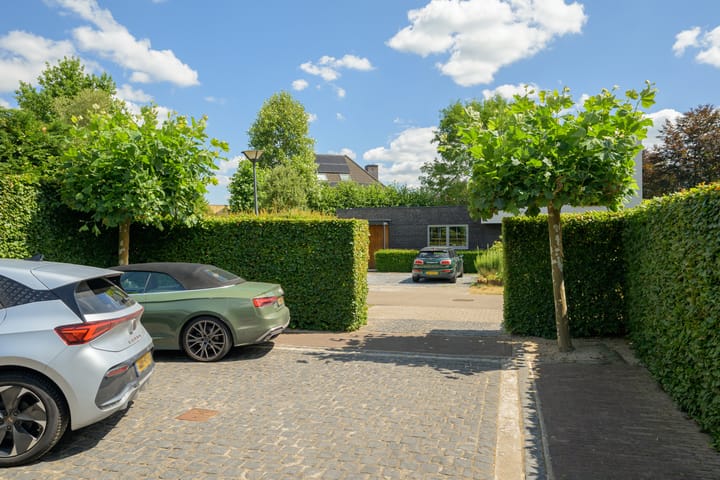 Foto 6 van Dassenlaar 14