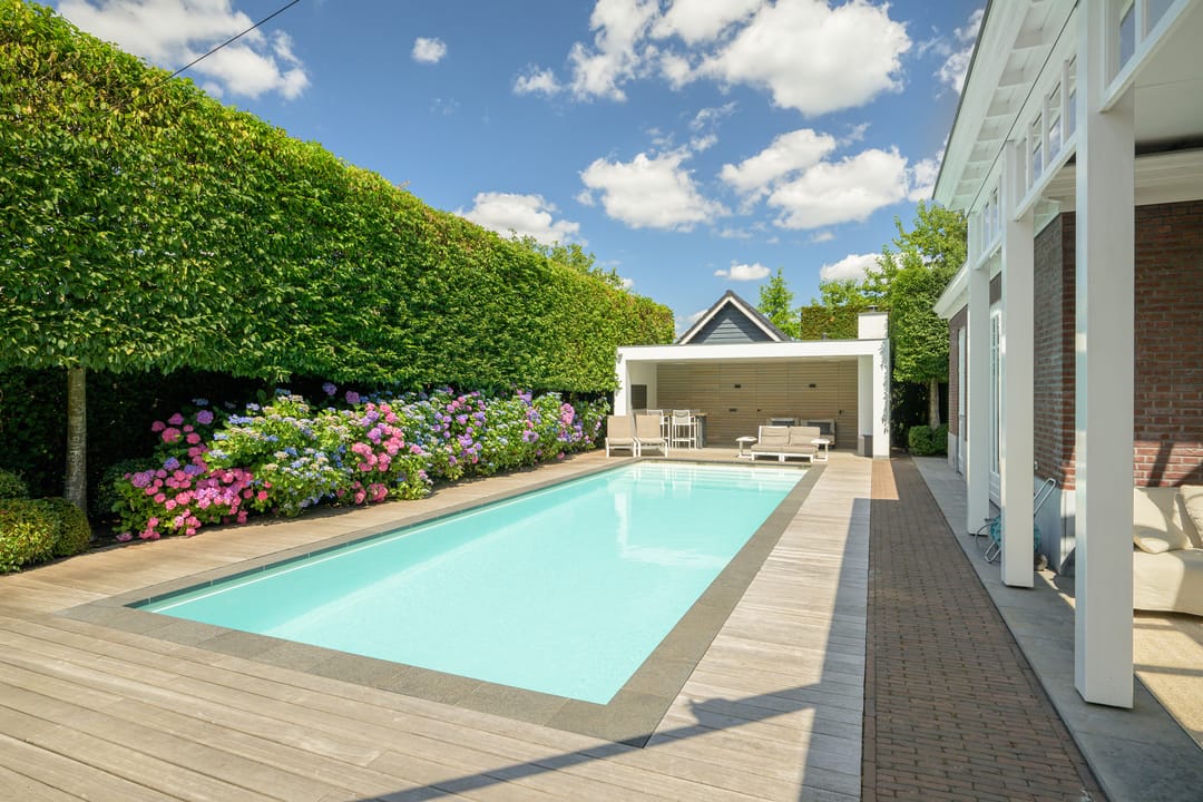 Foto 91 van Dassenlaar 14