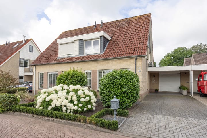 Photo 1 of Akelei 35