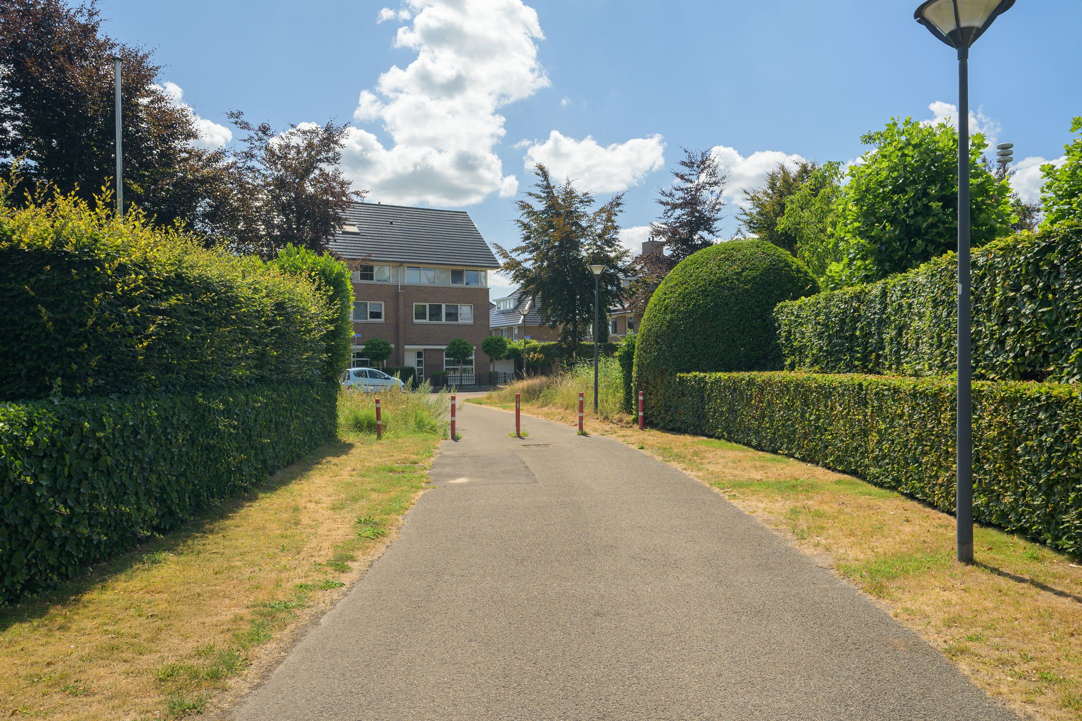 Foto 108 van Dassenlaar 14