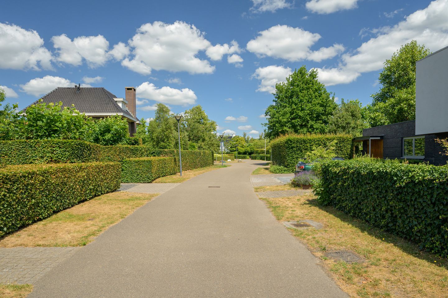 Foto 109 van Dassenlaar 14