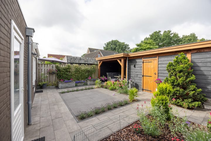 Photo 30 of Akelei 35