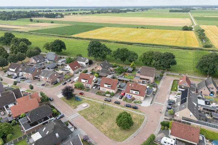 Photo 38 of Akelei 35