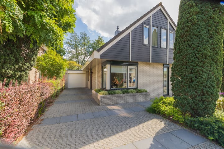 Foto 1 van Landleeuw 43