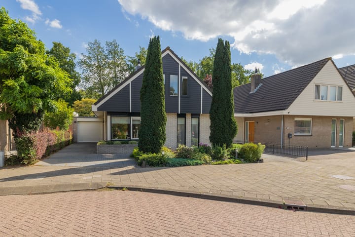 Foto 2 van Landleeuw 43