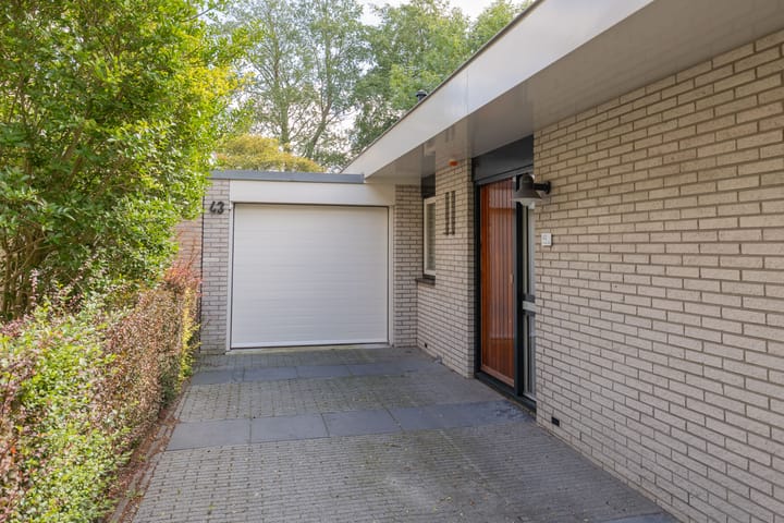 Foto 3 van Landleeuw 43