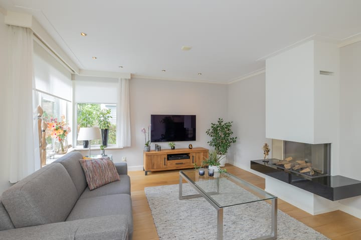 Foto 9 van Landleeuw 43