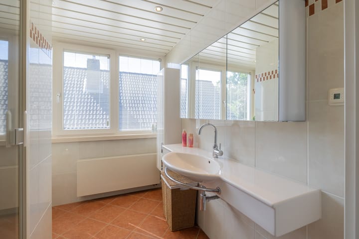 Foto 40 van Landleeuw 43