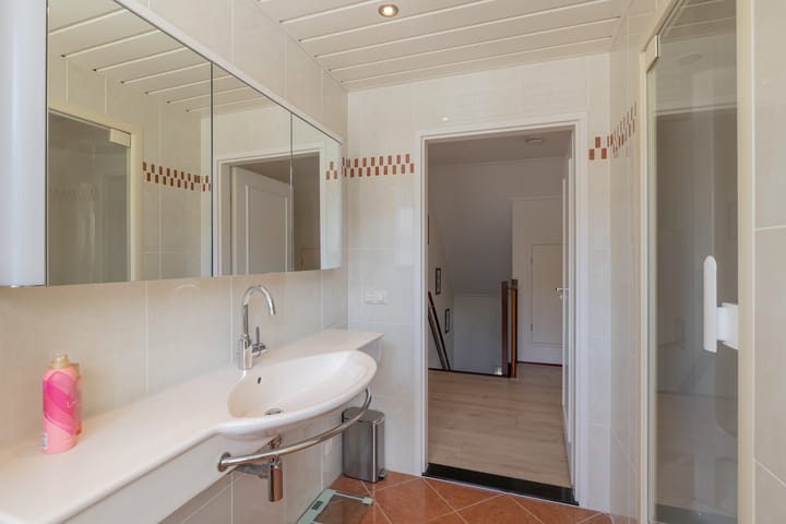 Foto 41 van Landleeuw 43