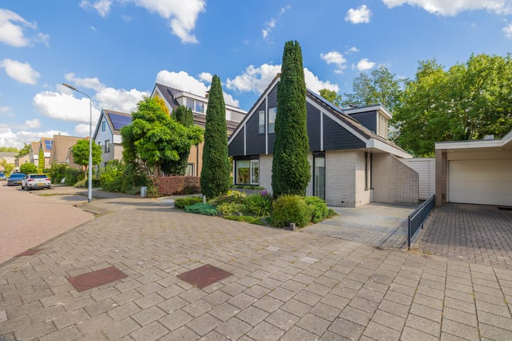 Foto 49 van Landleeuw 43