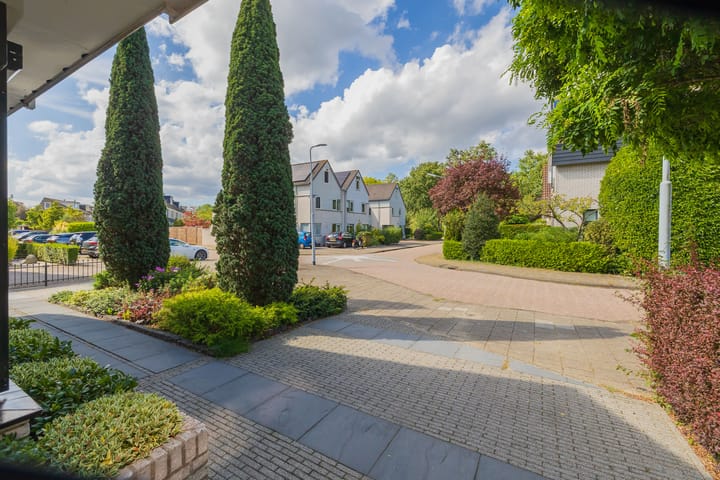 Foto 50 van Landleeuw 43