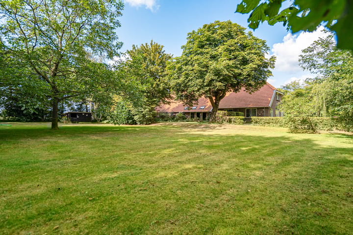 Foto 6 van Boergrup 31