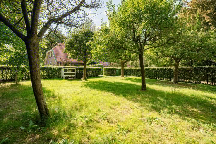 Foto 9 van Boergrup 31