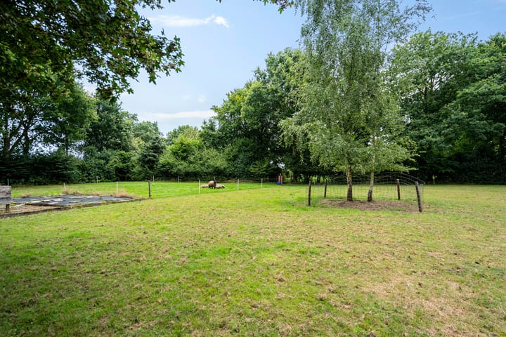 Foto 71 van Boergrup 31