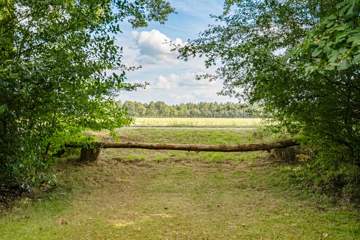 Foto 81 van Boergrup 31