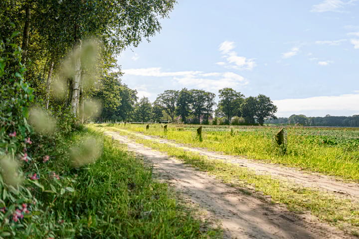 Foto 83 van Boergrup 31