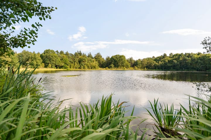 Foto 84 van Boergrup 31