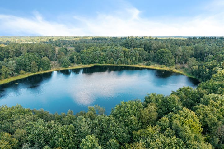 Foto 85 van Boergrup 31