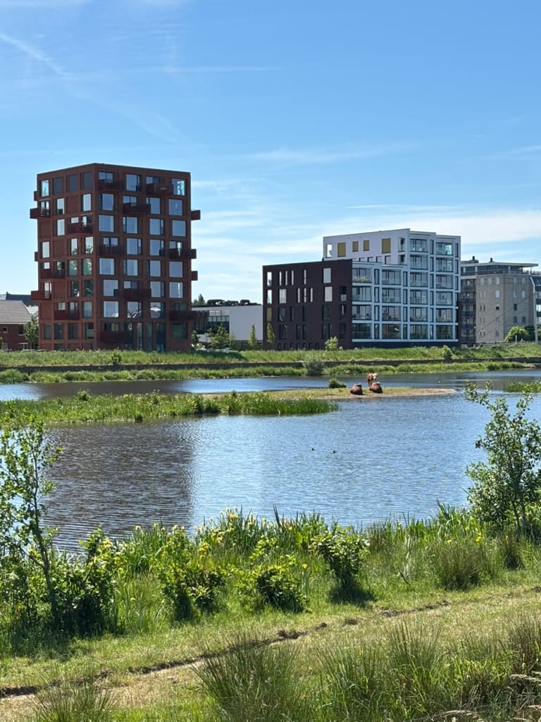 Foto 12 van Moonenlaan 194