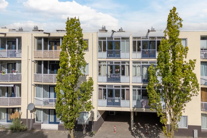 Photo 19 of Dostojevskisingel 83