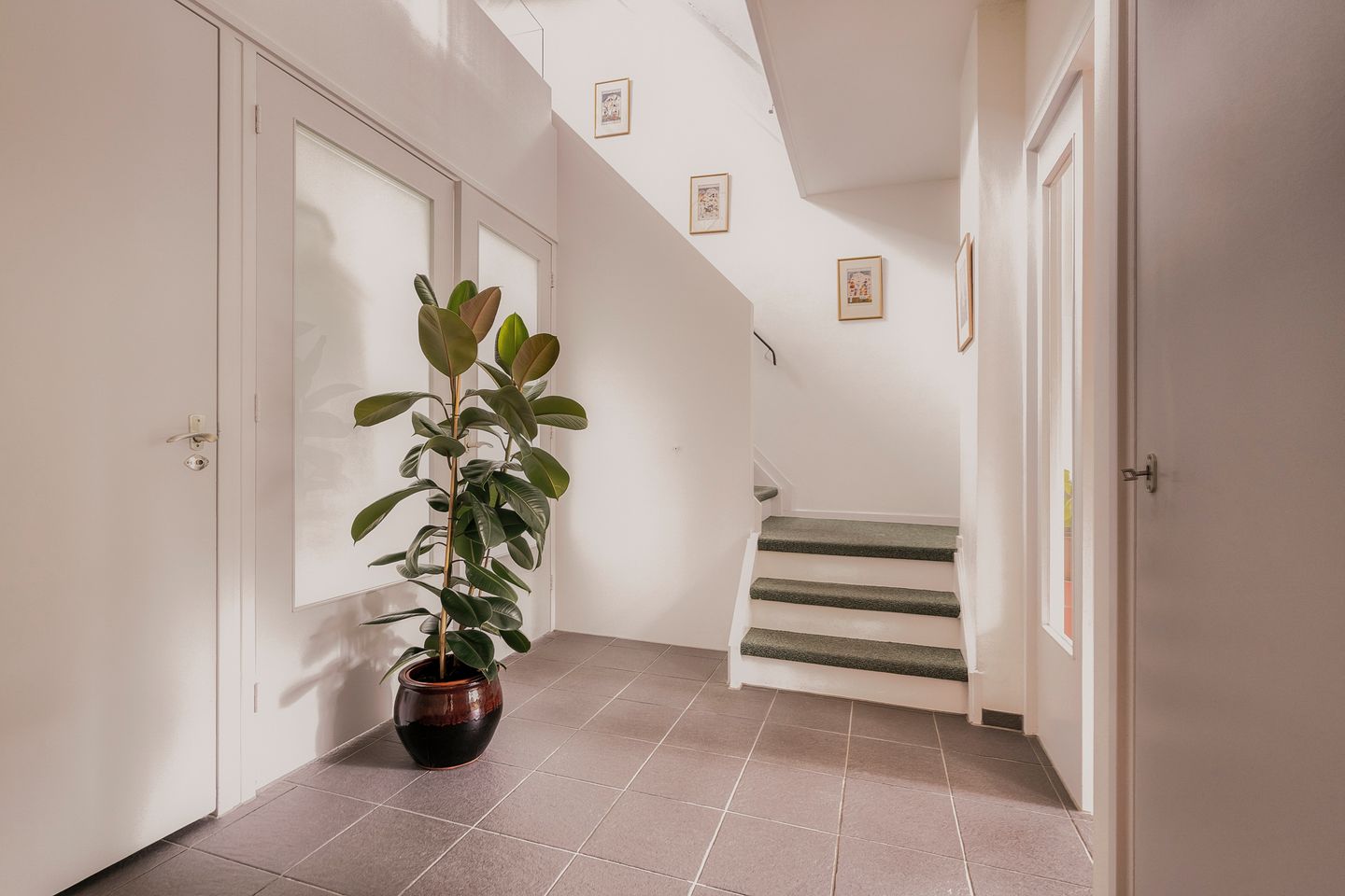 Photo 20 of Nederhoven 31