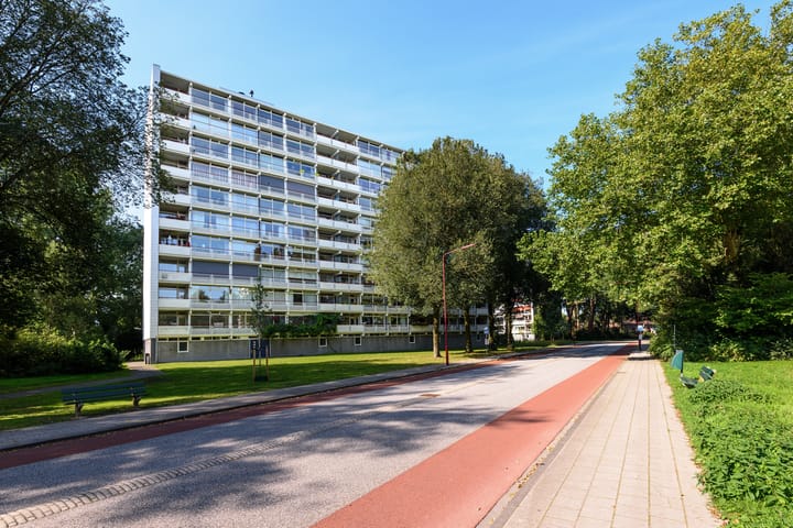 Foto 1 van Buizerd 71