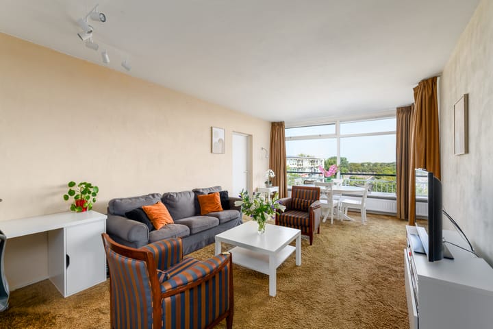 Foto 2 van Buizerd 71