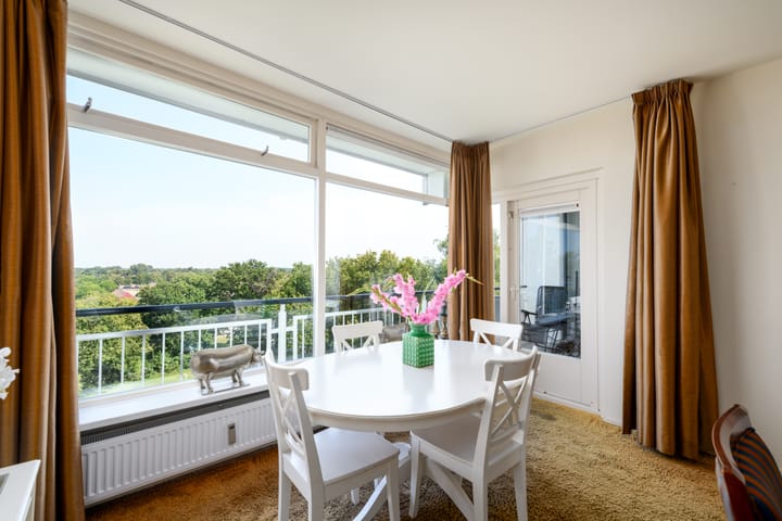 Foto 5 van Buizerd 71