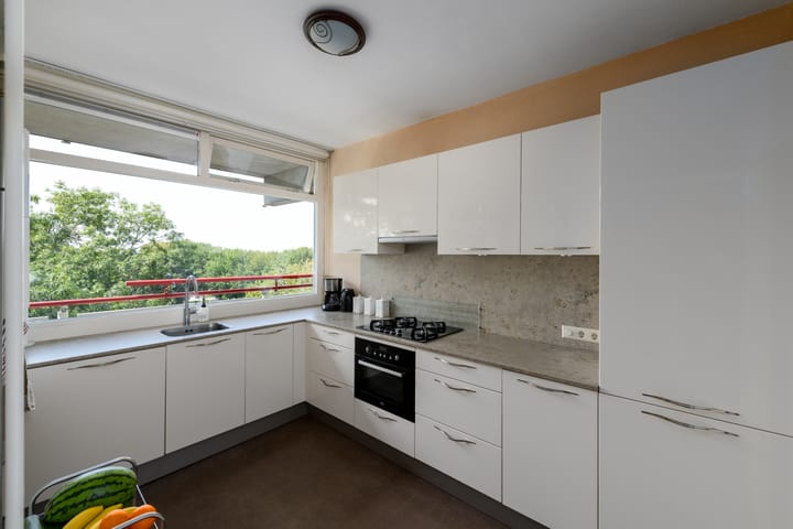 Foto 3 van Buizerd 71